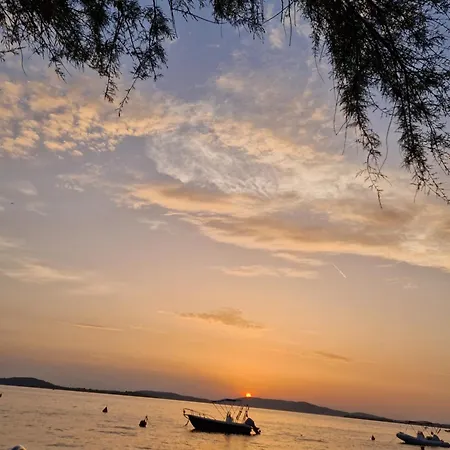 Manuela Doni 扎博里克