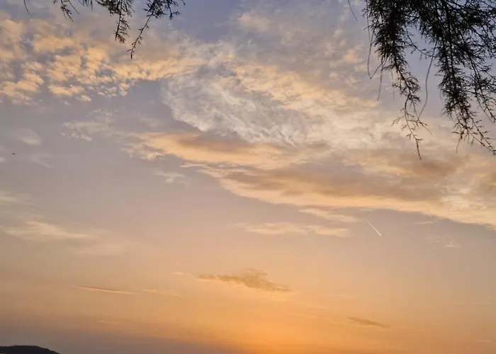 Manuela Doni 扎博里克