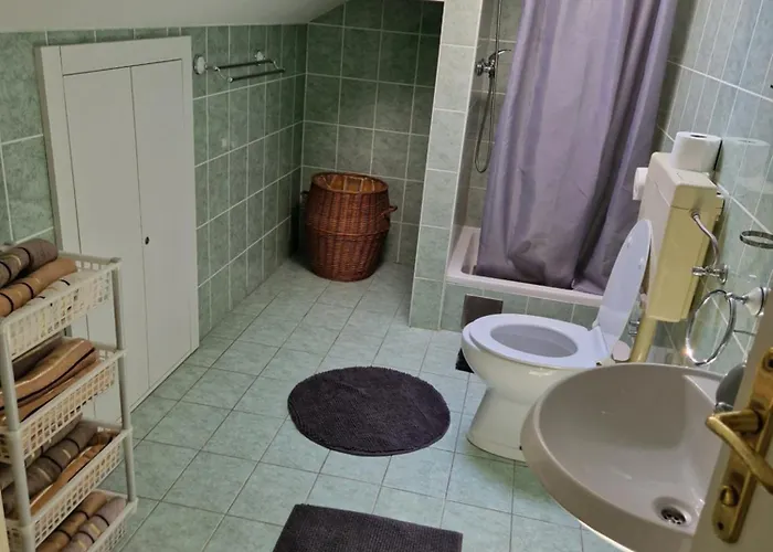 Manuela Doni 扎博里克